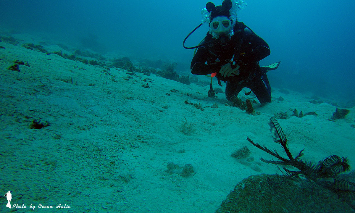 G0050878.JPG