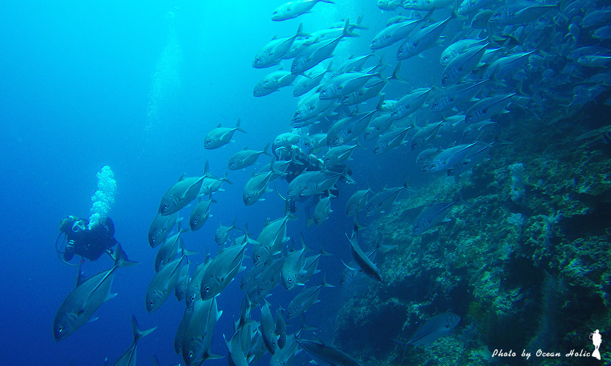G0120955.JPG