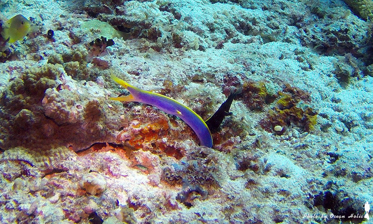 G0171126.JPG