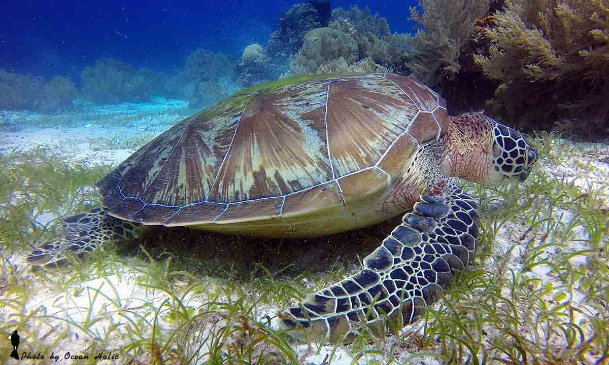 GOPR6968.JPG