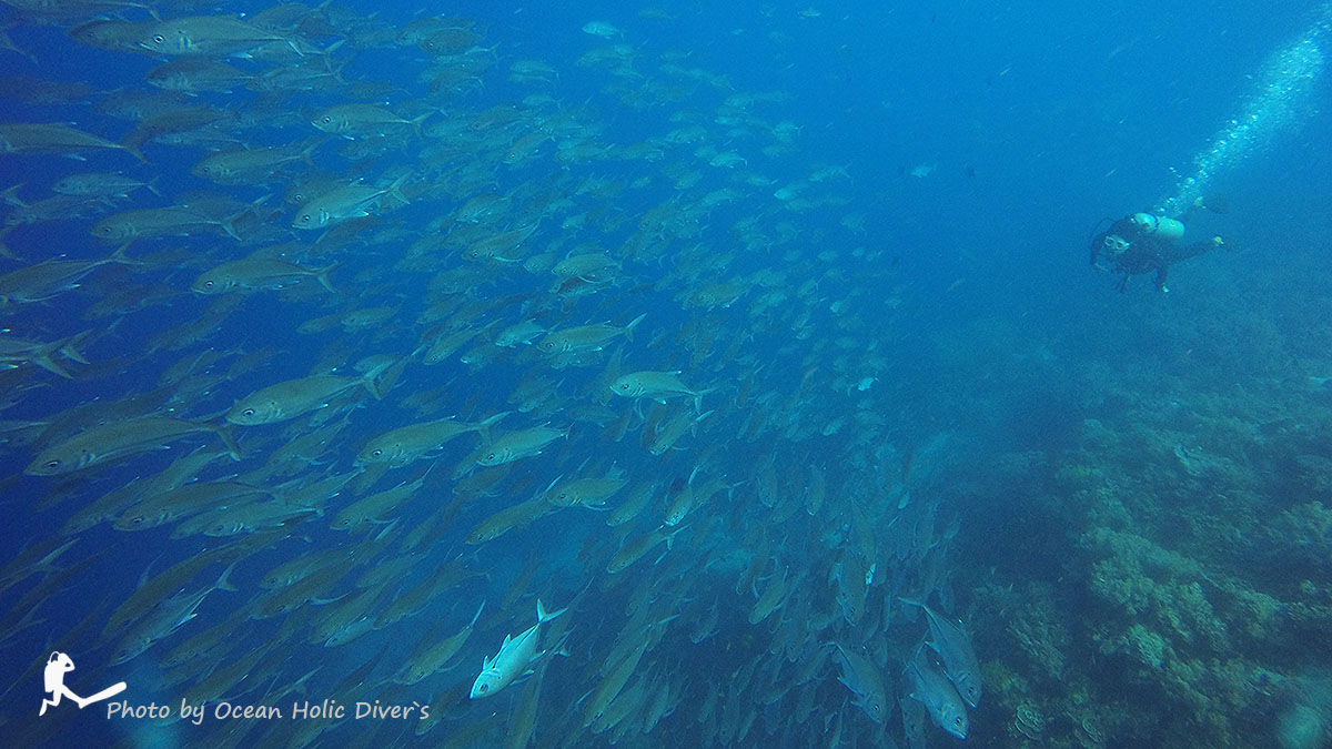 GOPR8318.JPG