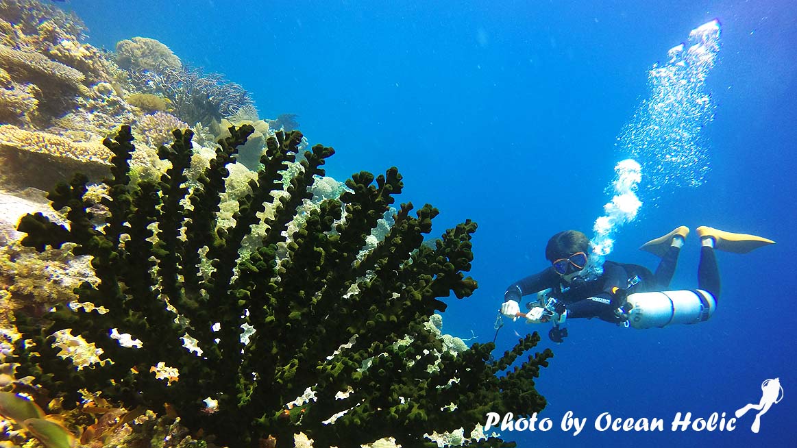 GOPR0258.JPG