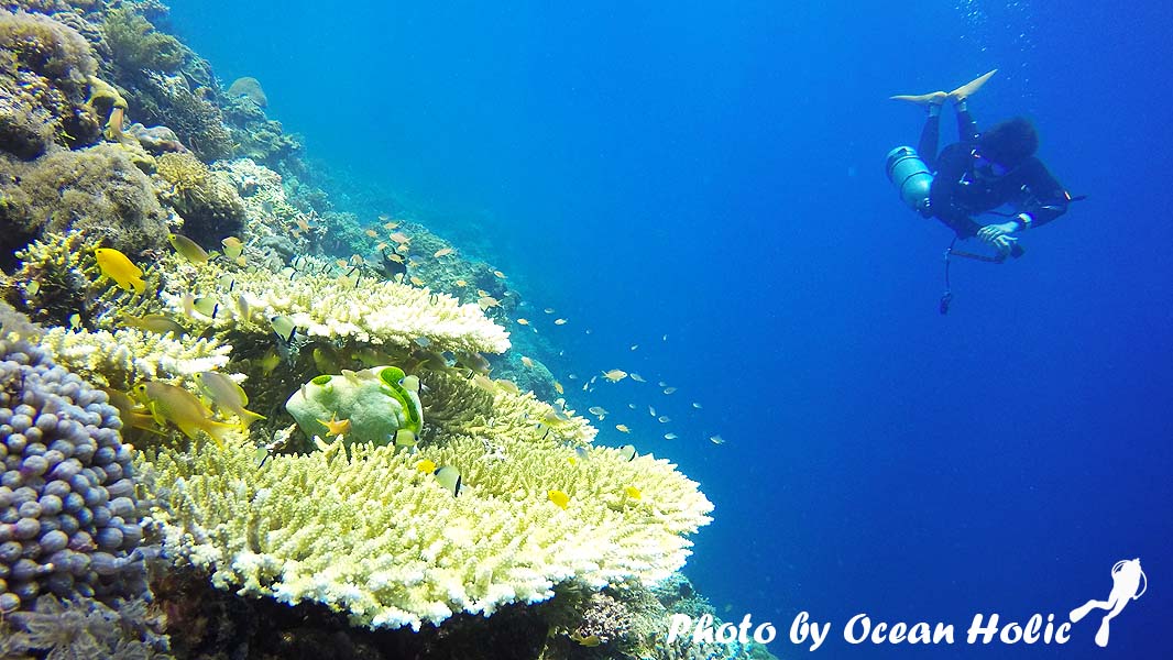 GOPR0269.JPG