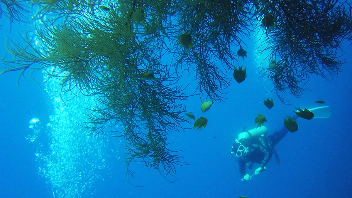 GOPR5237.JPG