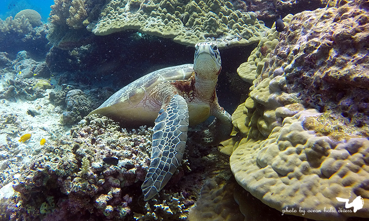 GOPR1020.JPG