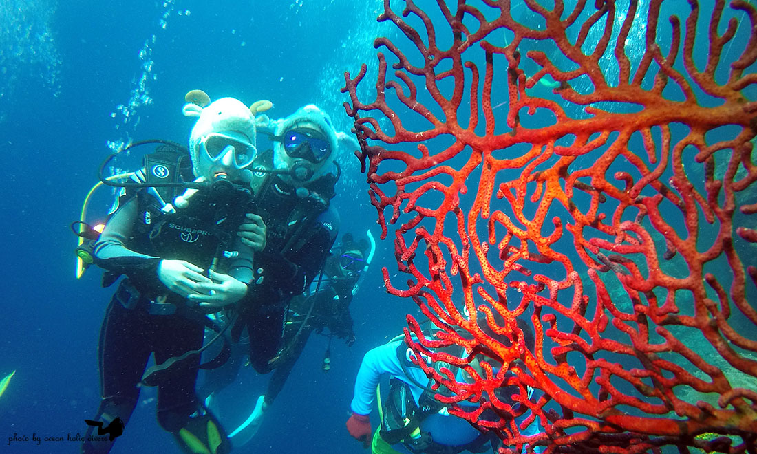 GOPR3062.JPG