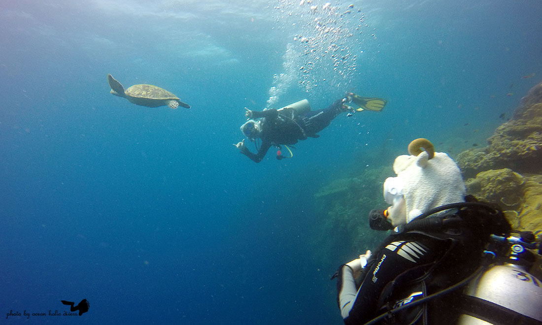 GOPR3124.JPG