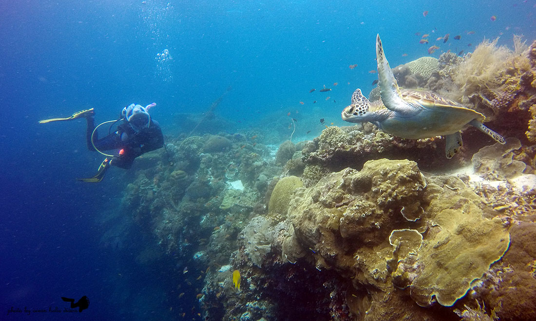 GOPR3119.JPG