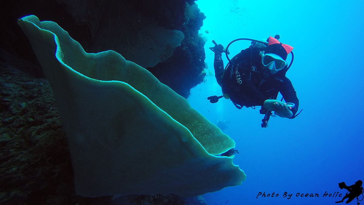 GOPR2354.JPG