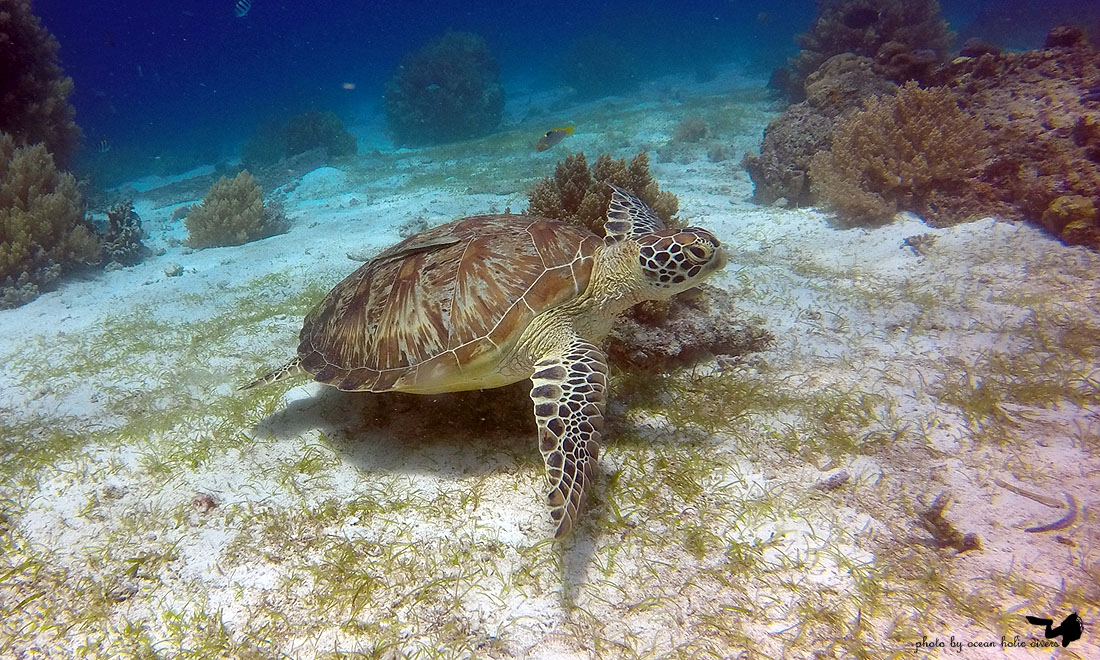 GOPR2475.JPG