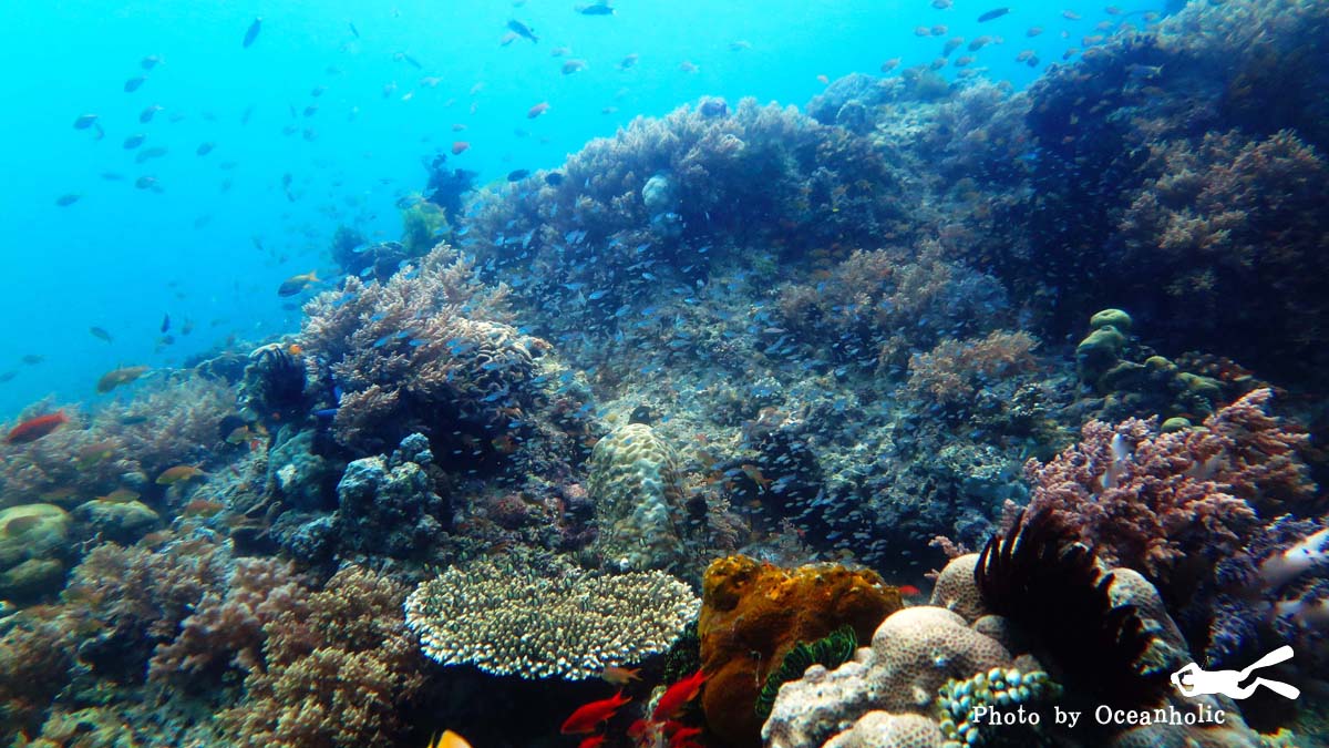 IMG_0557.JPG