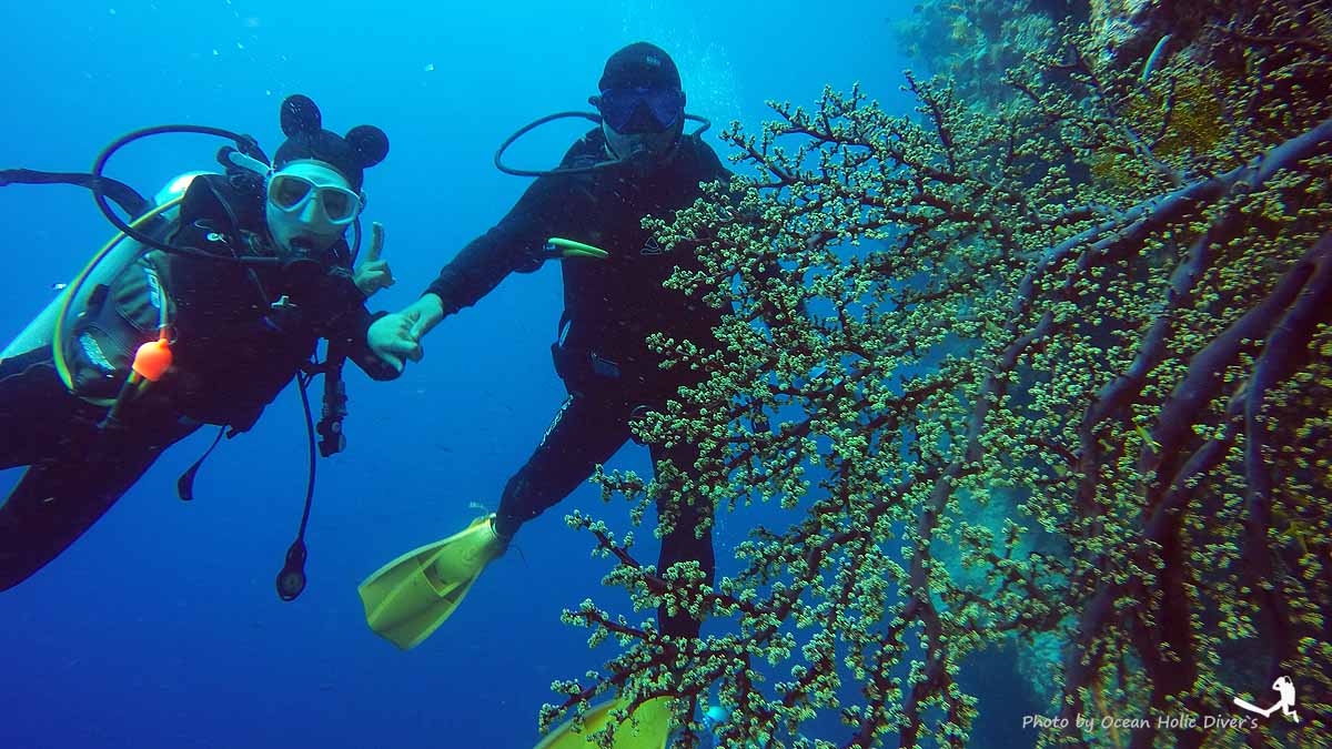 GOPR6044.JPG