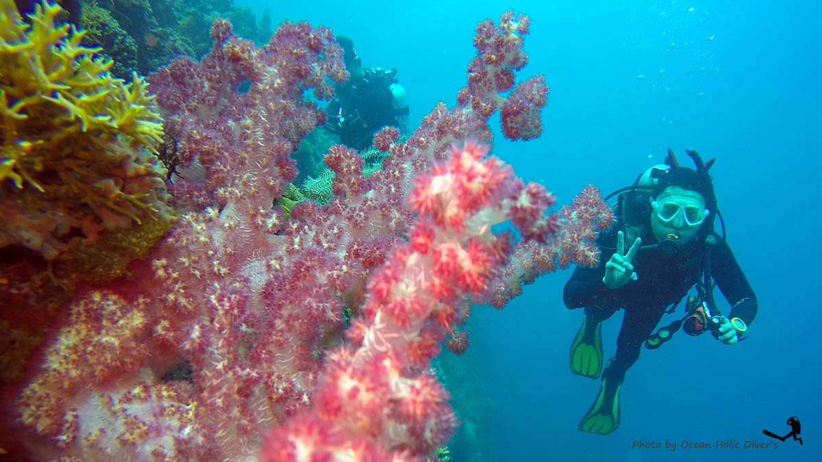 GOPR2304.JPG