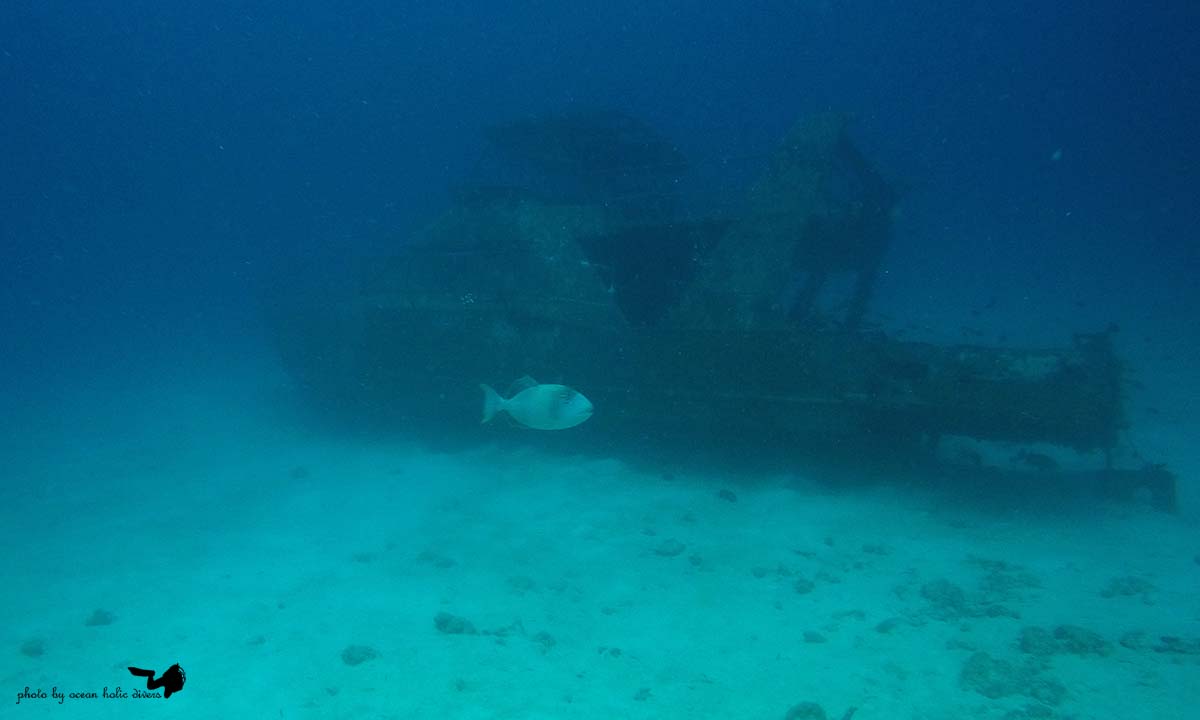 GOPR0690.JPG