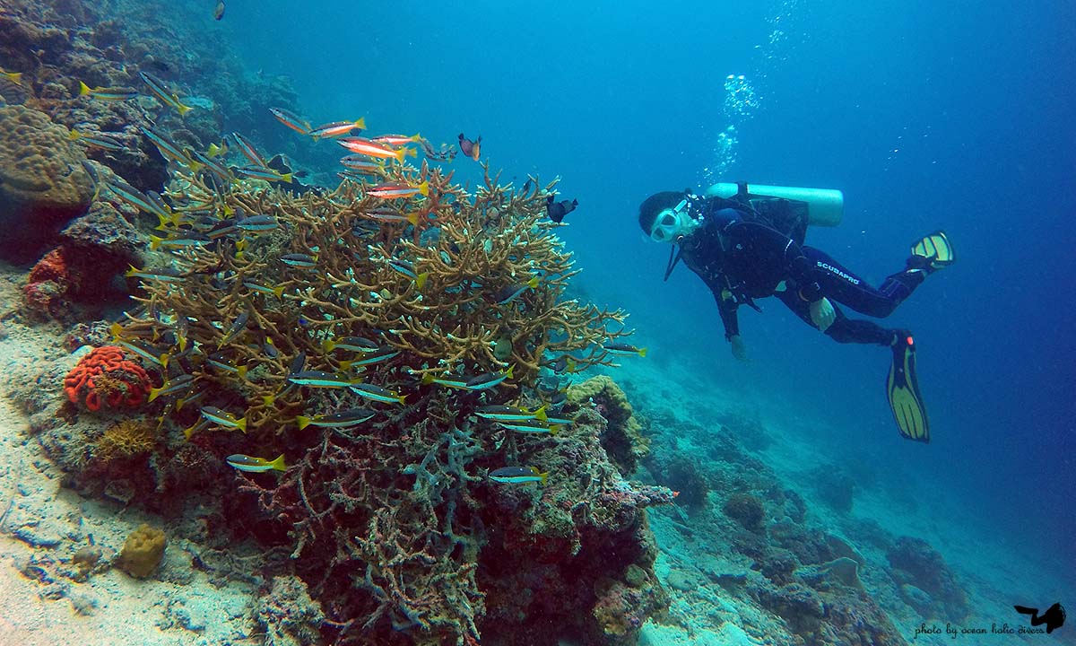 GOPR0746.JPG