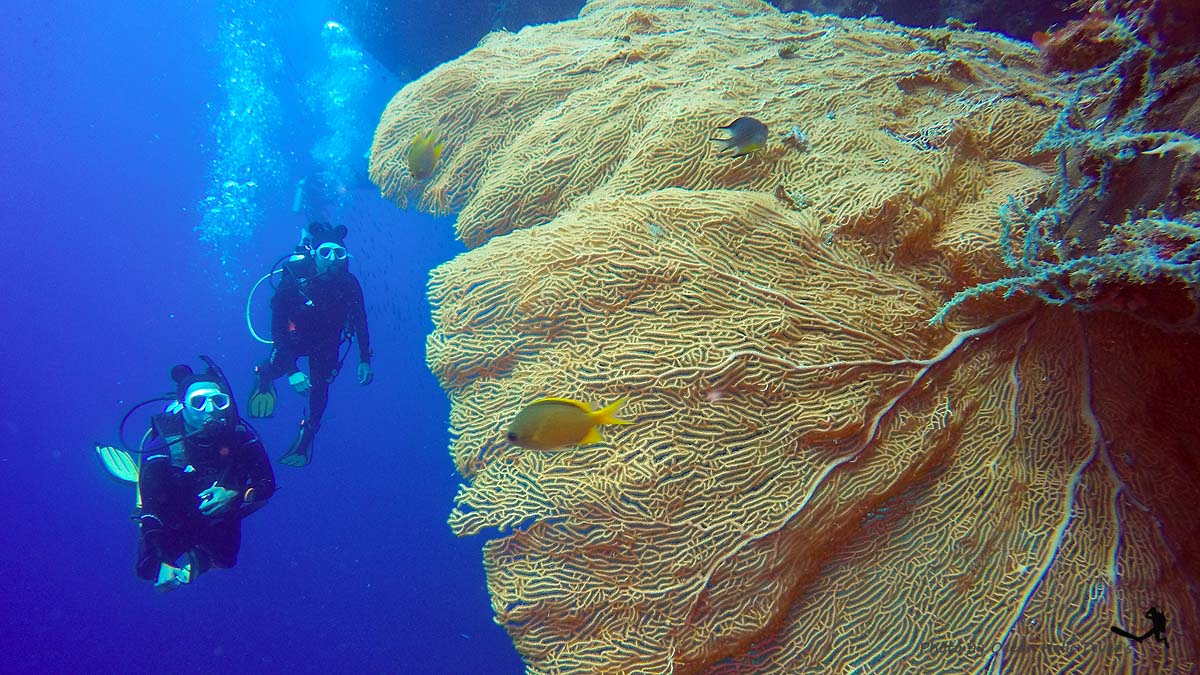 GOPR1285.JPG