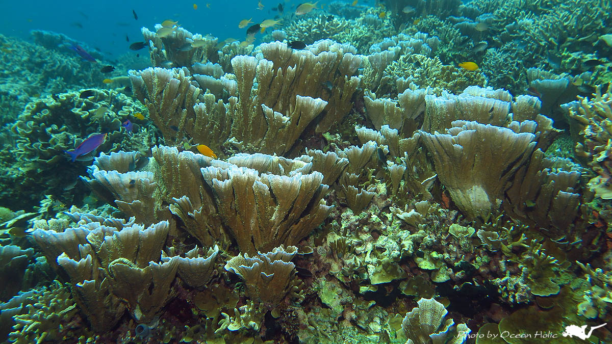 IMG_6055.JPG