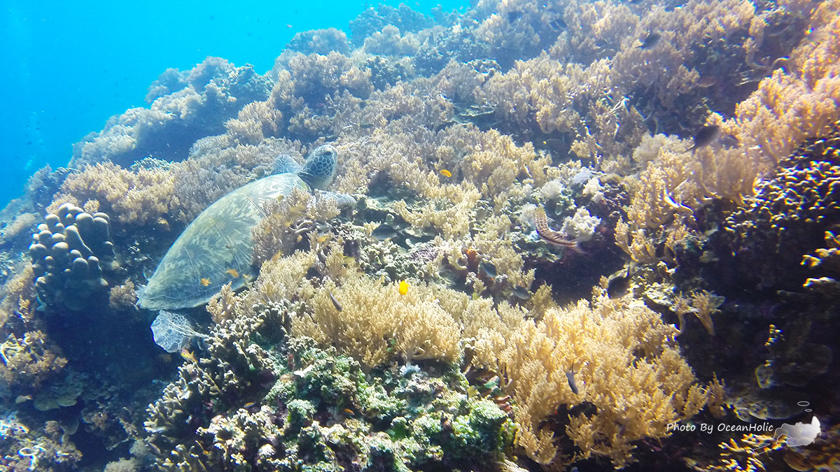 GOPR3787.JPG