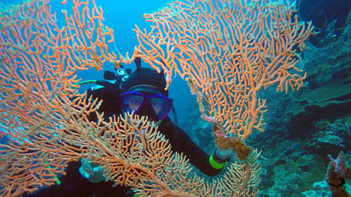 GOPR0562.JPG