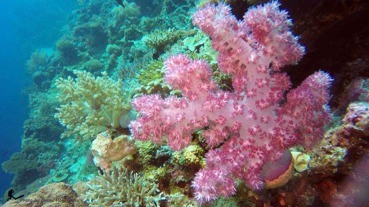 GOPR0713.JPG