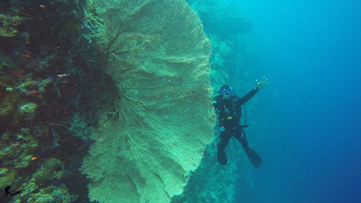 GOPR0602.JPG