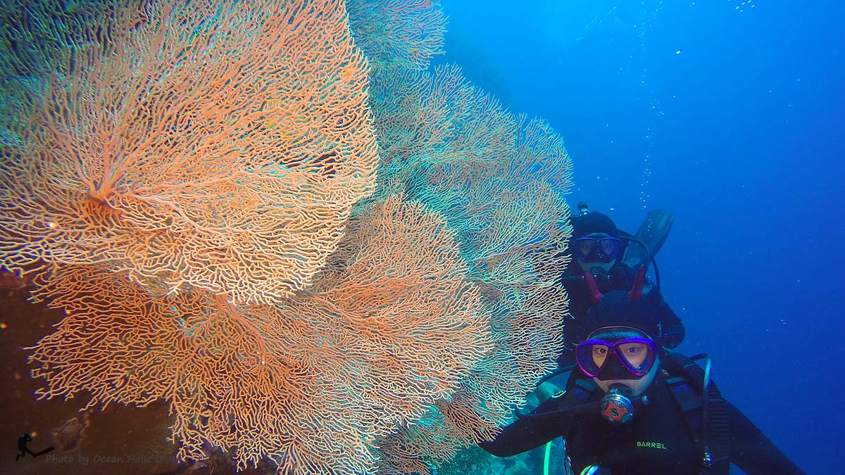 GOPR0688.JPG