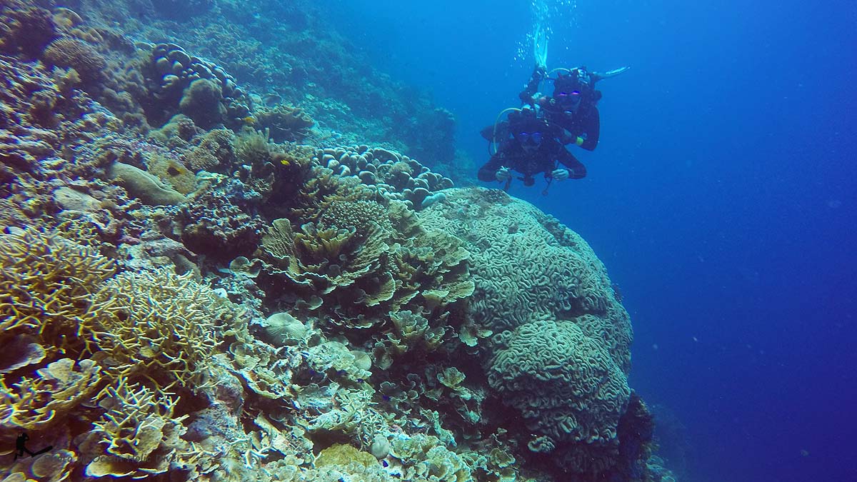 GOPR0704.JPG