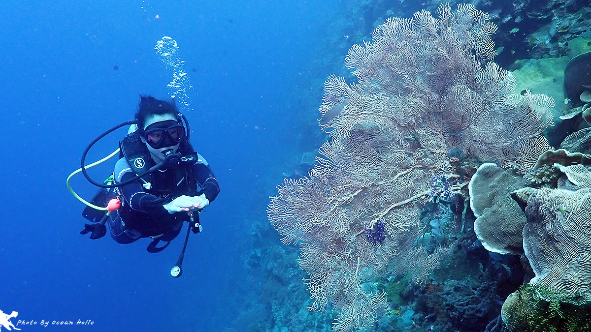 P5220222.JPG