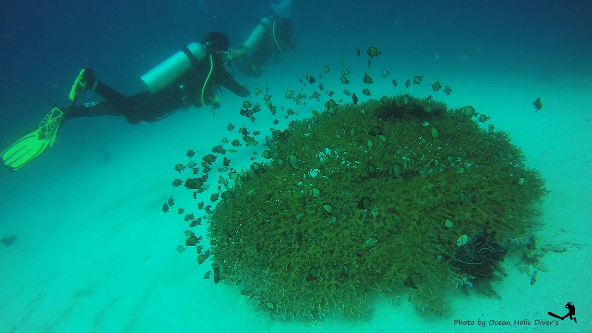 GOPR2563.JPG