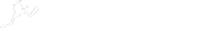OCEAN HOLIC